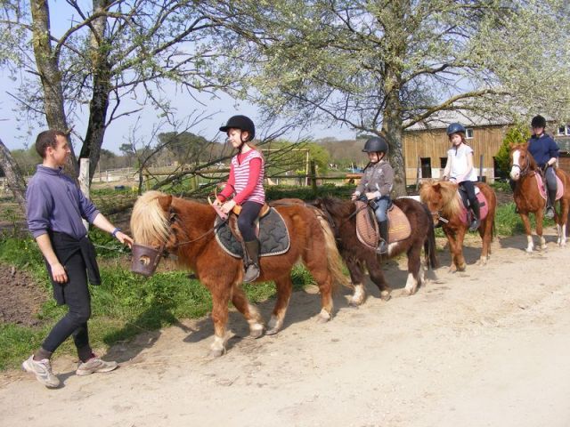 Centre équestre Breizh équitation Locoal Mendon